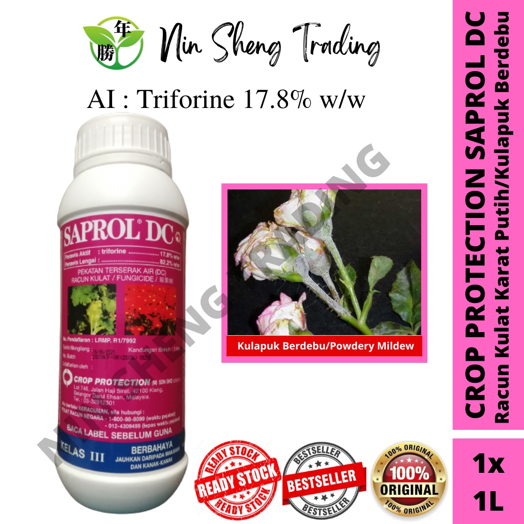 CROP PROTECTION SAPROL DC 1L TRIFORINE 17.8% w/w KARAT PUTIH/KARAT/KULAPUK BERDEBU/白锈病/锈病/白粉病