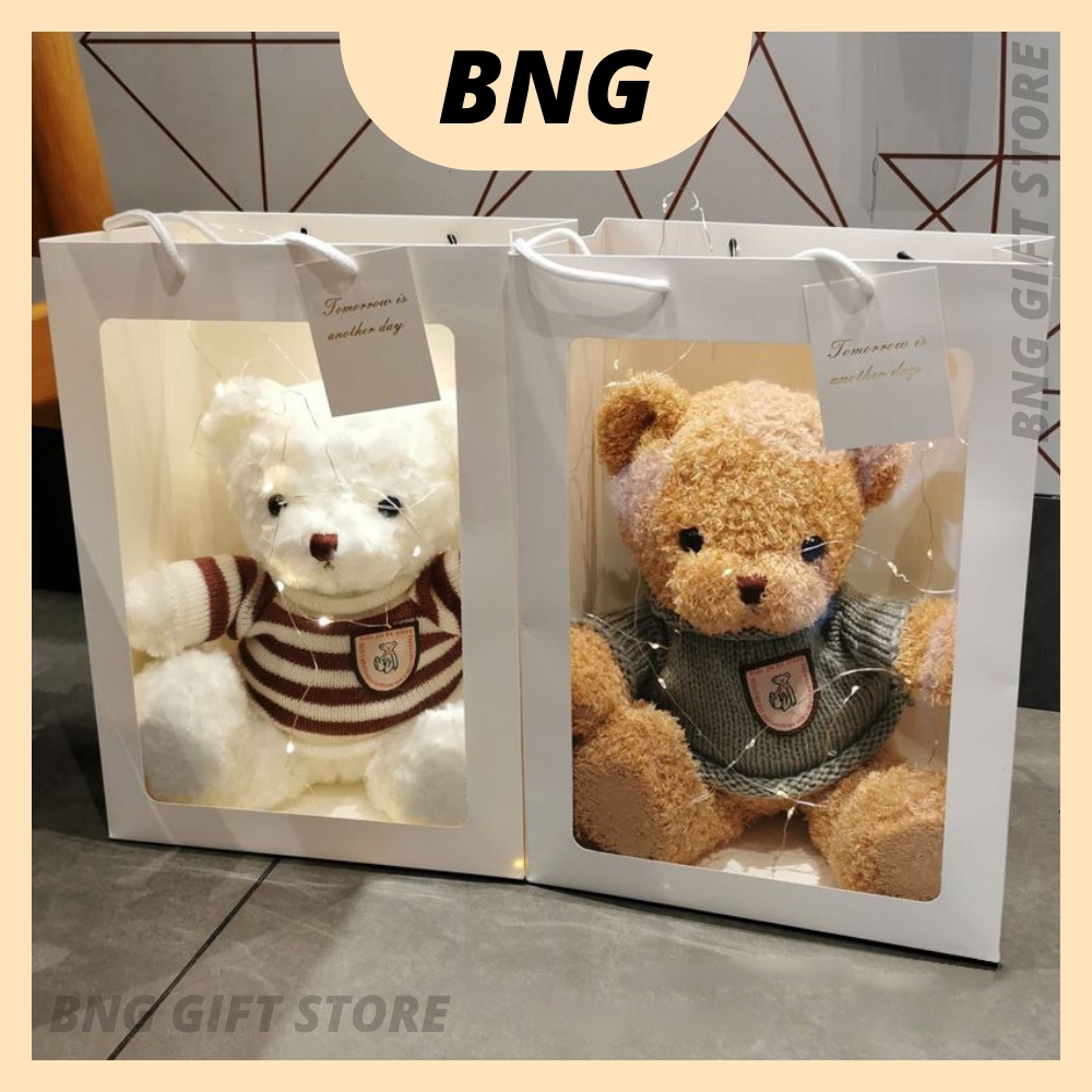 BNG Lovely Soft 30cm Teddy Bear Plush Toy Stuffed Led Light Paper Beg Perfect Gift For Lovers Family and Friends
