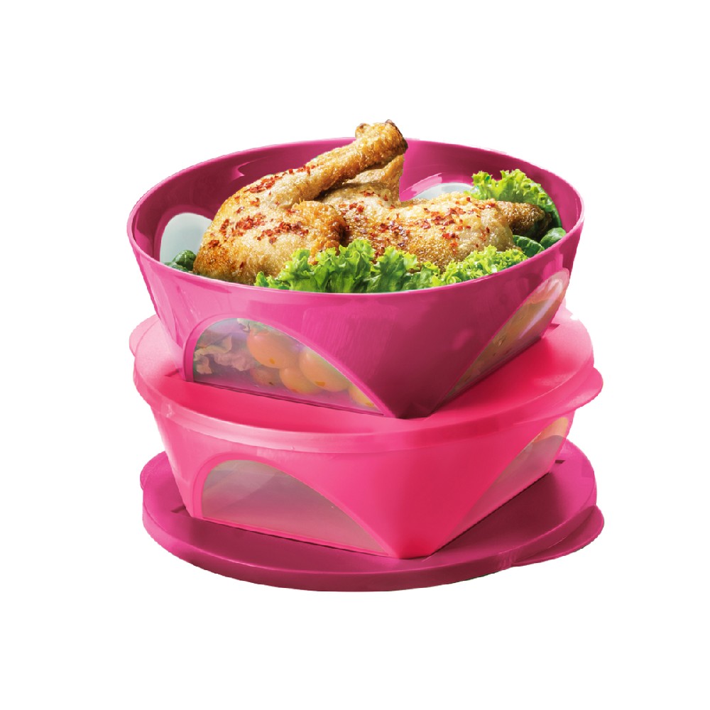 Tupperware Outdoor Dining Bowl (2) 2.5L