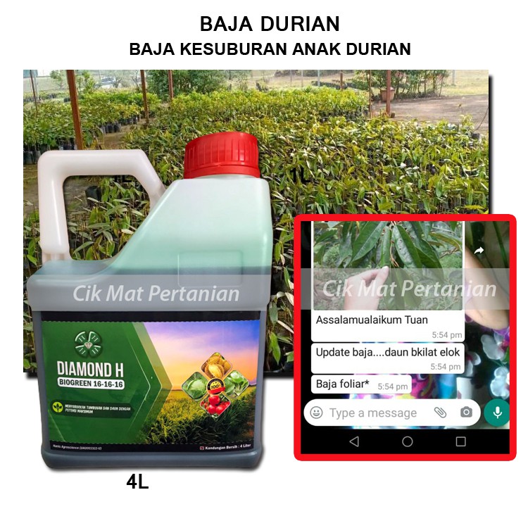 4L BIOGREEN 16:16:16 Baja Durian Cepat Tumbuh Membesar (1 bln - 3 thn ...