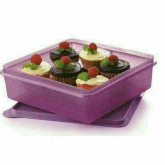 Tupperware B2B Snack N Stor 2.9Liter