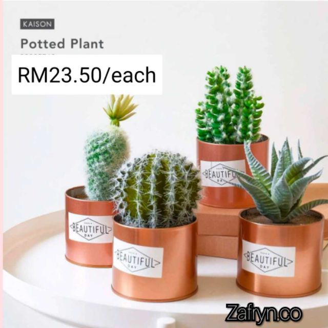 Kaison Artificial Potted Plant Fake Cactus Table Simulation Deco