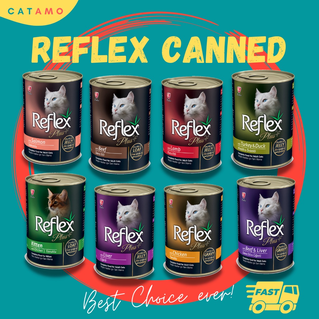 reflex-plus-cat-kitten-dry-food-karoutexpress