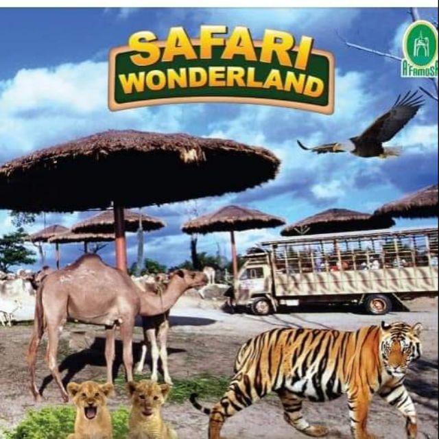 safari wonderland price