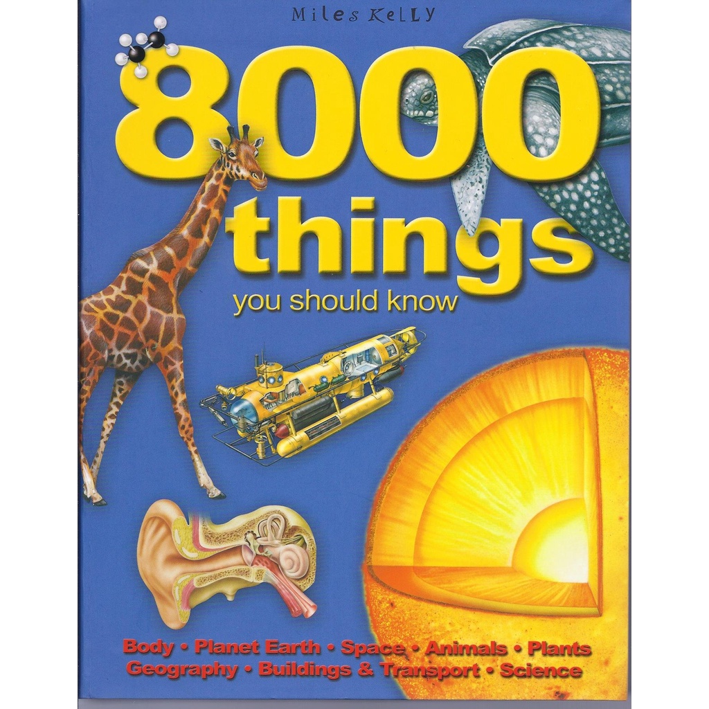 Miles Kelly 8000 Things You Should Know / 8000 Awesome Things You Should Know