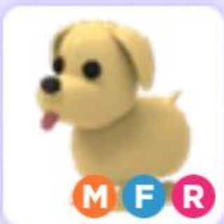 Roblox Adopt Me Nfr Dog Shopee Malaysia - shiba inu de adopt me roblox