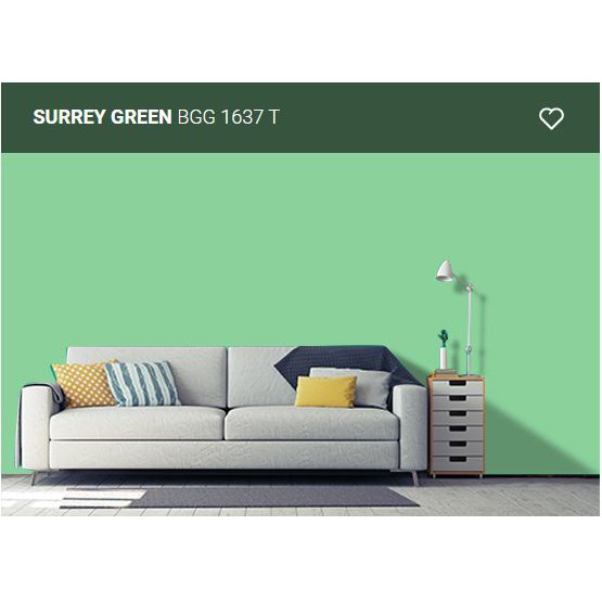 EXTERIOR PAINT SURREY GREEN BGG 1637 T (1LT/5LT) NIPPON