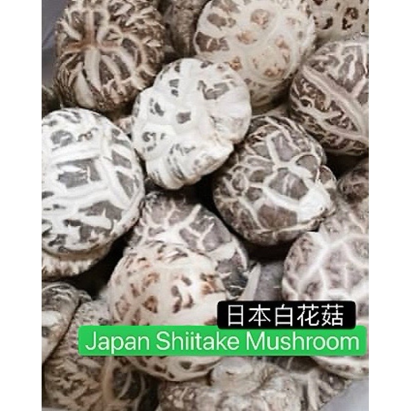 Japan Shiitake Mushroom日本白花菇 S Size 50g 250g Shopee Malaysia