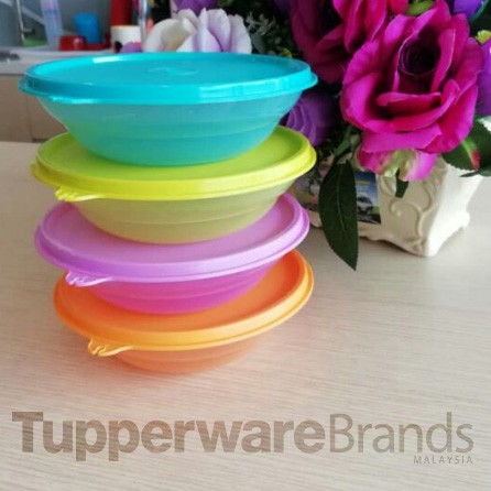 Fun Bowls (4pcs) 450ml