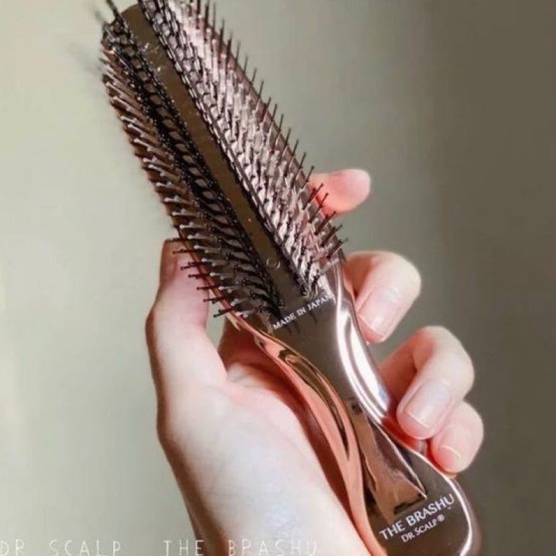 THE BRASHU DR SCALP FROM JAPAN | Shopee Malaysia