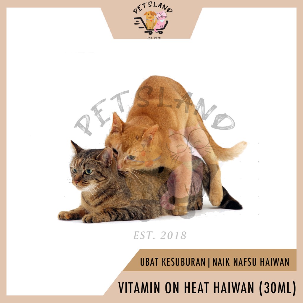 Buy ON HEAT/Kesuburan/Kucing u0026 Anjing (30ML) Multivitamin 