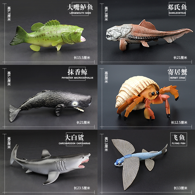simulation shark toy