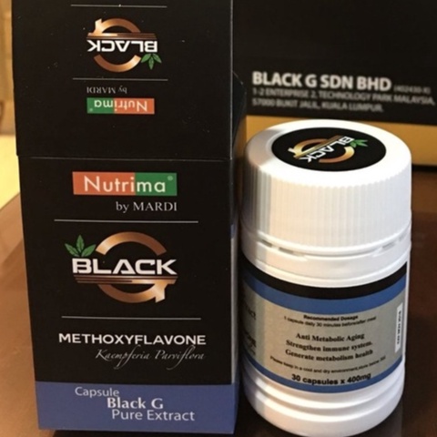 Black G Kunyit Hitam Original Ready 30 Kapsul