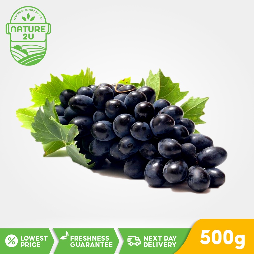 Nature2U Fresh Fruit - Black Seedless Grape / Anggur Hitam / 黑葡萄 (500g+-/pkt)