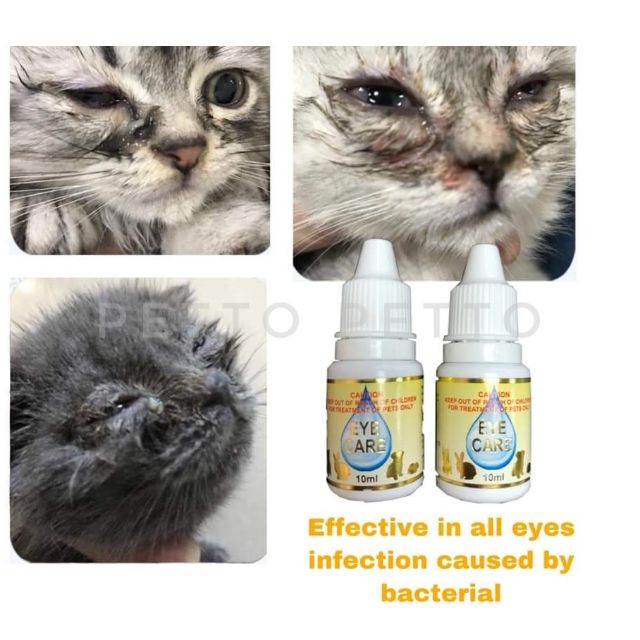 Eye Care Drop / Ubat Mata Kucing (Cat, Dog, Small Animal 