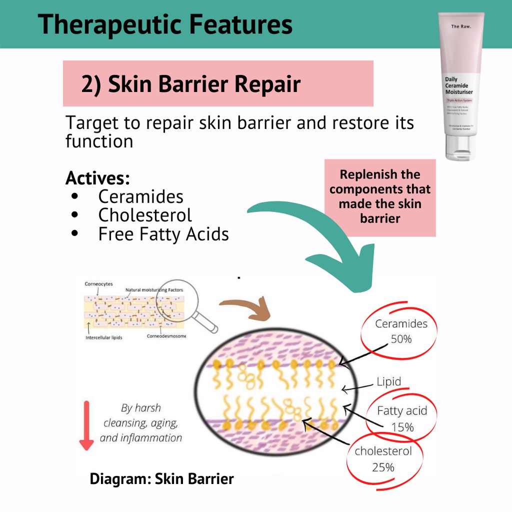 the raw daily ceramide moisturizer