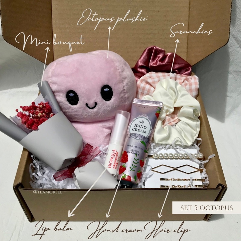 Surprise Gift Box Murah Octopus Plushie/Birthday/Ramadan/Friendship/Graduation/Apology/Anniversary Mothers Day Gift