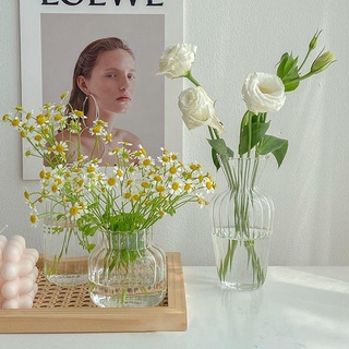 Ins Glass Vase Nordic Transparent Hydroponic Flower Plant Creative Simple Living Room Office Flower Vases