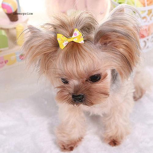 dog ear hair clips