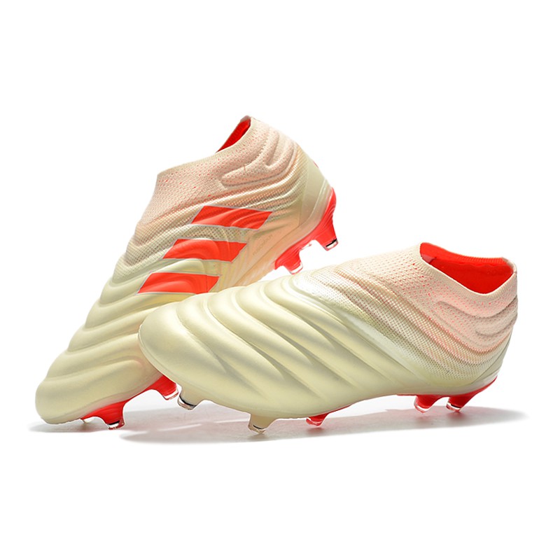 copa 19