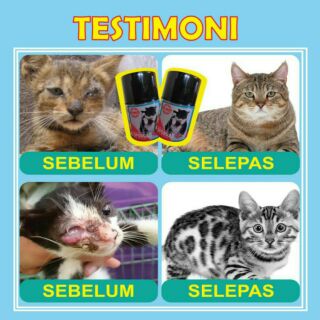 PROMO ITEM💥 Ubat Kucing ( cat ) Sporgad Sporo Kurap 