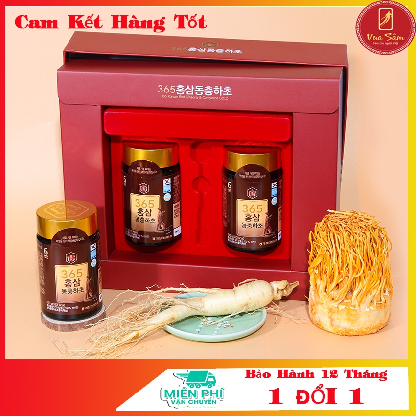 [Premium Goods] High-Quality Red Ginseng Cordyceps 240 Grams x 2 Korean ...