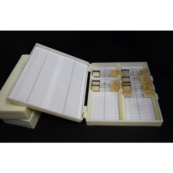 50 - 100slide Plastic Microscope Slide Storage Box READY STOCKWholesaler NICE MURAH