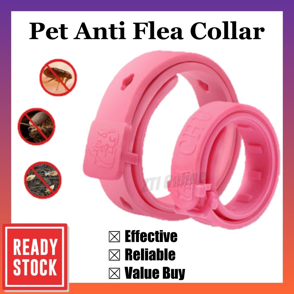 Ubat Kutu Kucing Flea Out Review - Red Pastel d