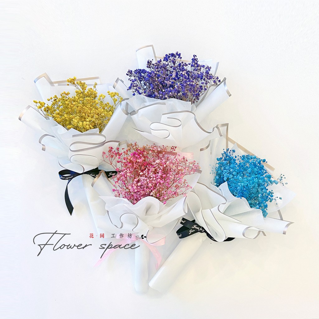 Dried Baby Breath Mini Bouquet Dry Flower Coloured 27cm 满天星花束迷你干花 Shopee Malaysia