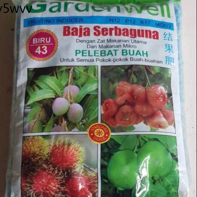 Baja rumput karpet Karpet rumput outdoor Rumput tiruan Baja Buah Lebat