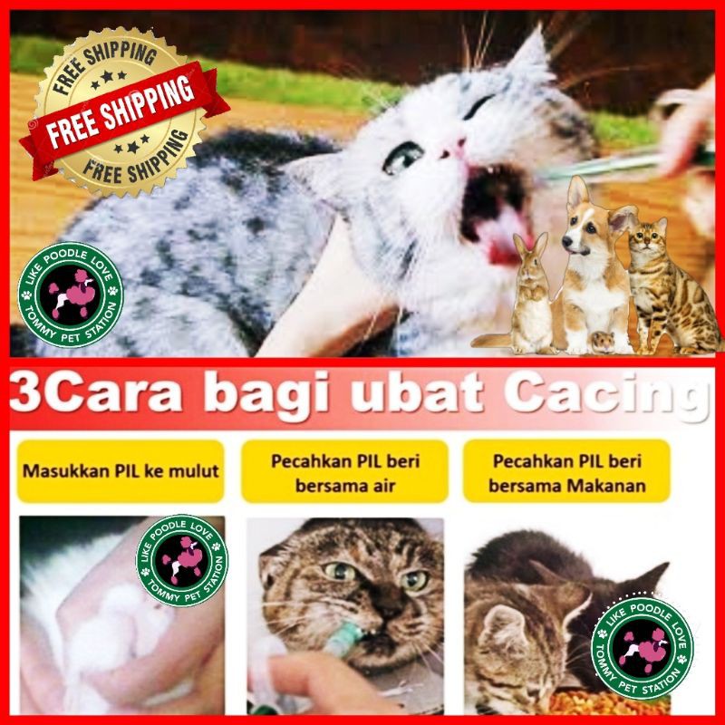 Ubat Cacing Kucing Anjing dog puppy cat Rawat Kecacingan Kucing