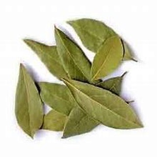  Daun Kayu Manis  Indian Variety Bay Leaves 10g Shopee 