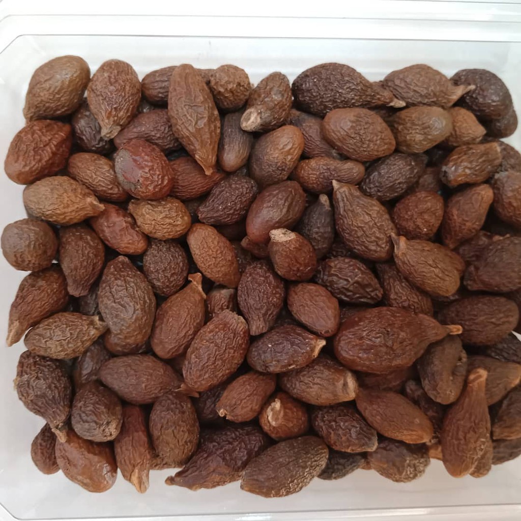 Buy Kembang Semangkuk Scaphium 200g Seetracker Malaysia