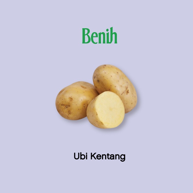 Ubi Kentang Potato Potatoes 500g Shopee Malaysia