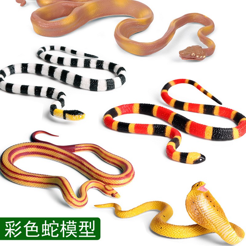 corn snake toys