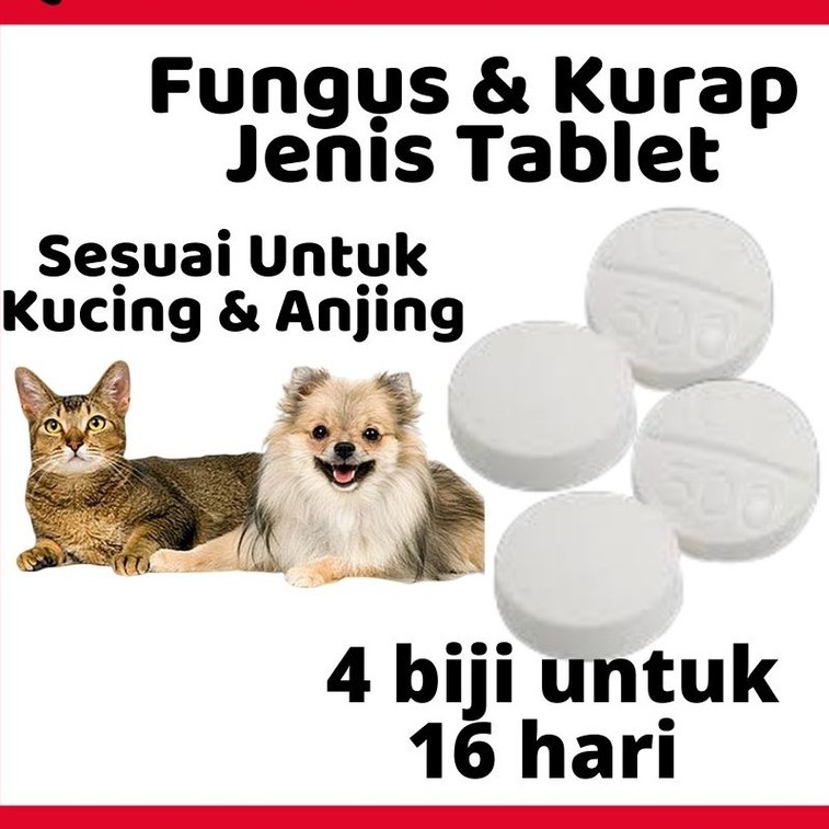 🔥 HIGHLY RECOMMENDED 🔥 Ubat Kurap Fungus kucing u0026 Anjing Jenis 