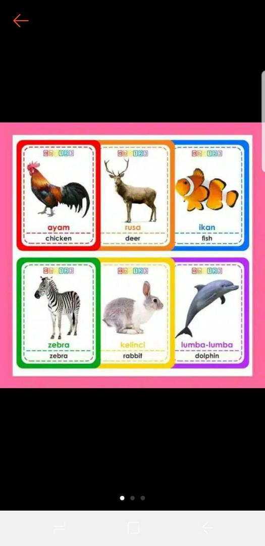 D2 Color Fruit Animal Flash Card | Educational Learning Cards For Kids |  Shopee Malaysia
