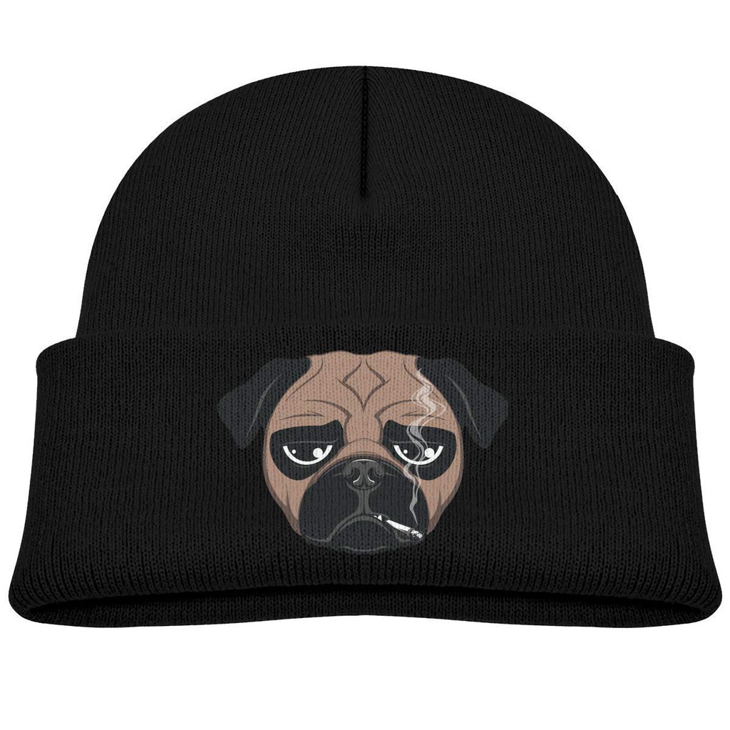 dog beanie hat