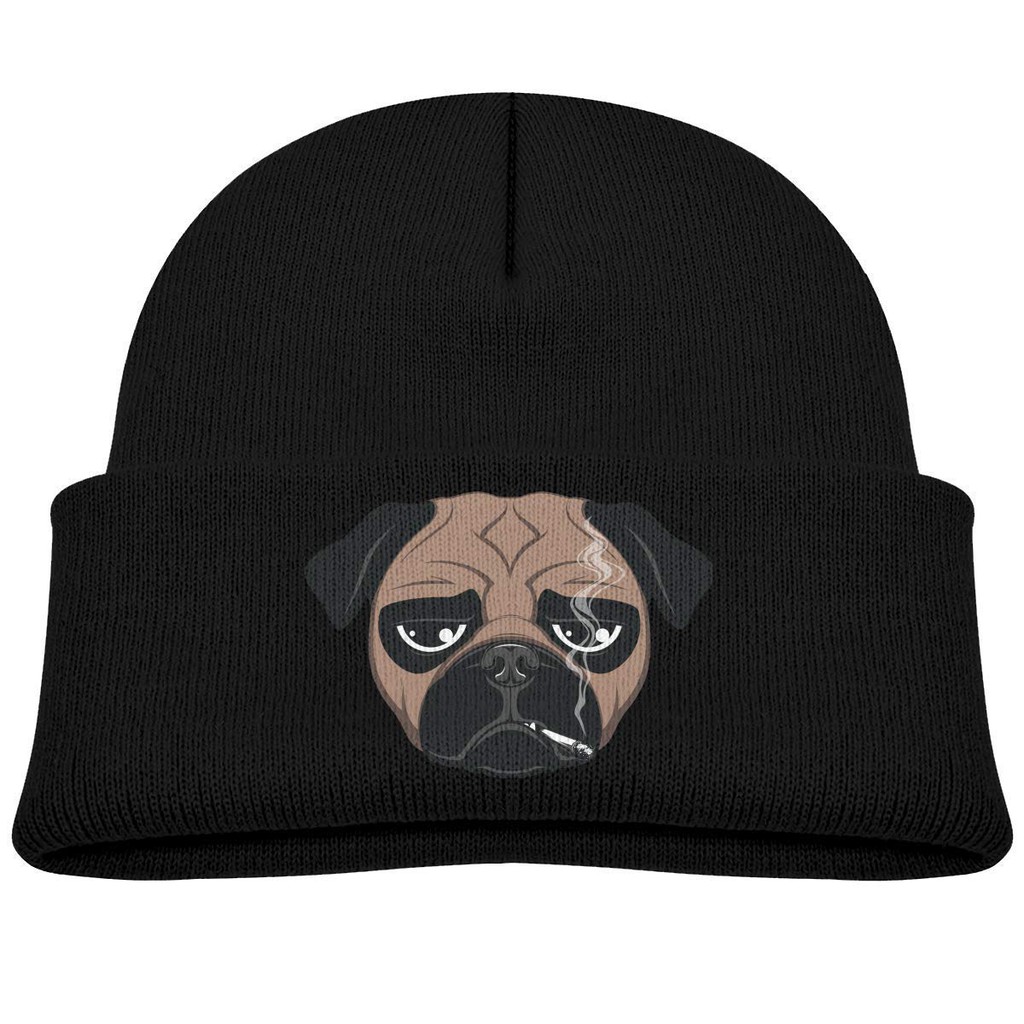 dog beanie hat