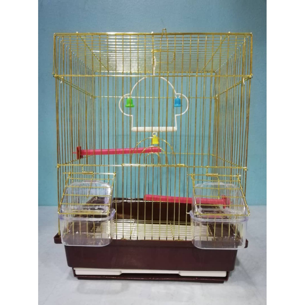 Sugar Glider Cage Size Bruin Blog