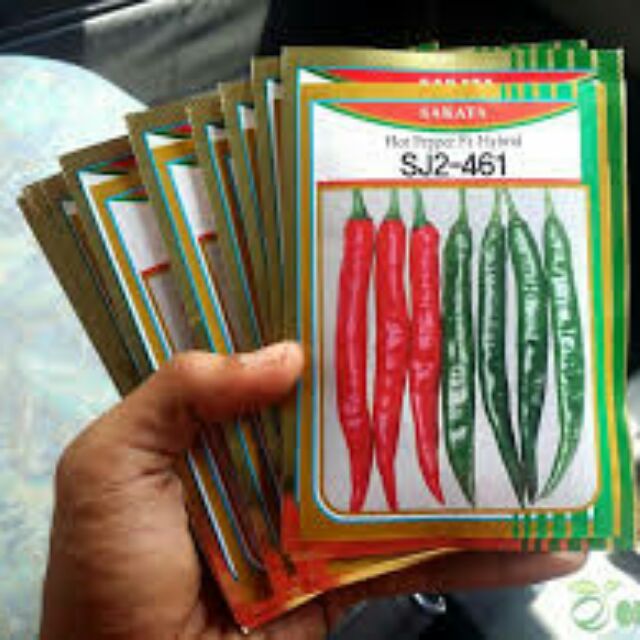Benih Cili Sakata 461  Shopee Malaysia