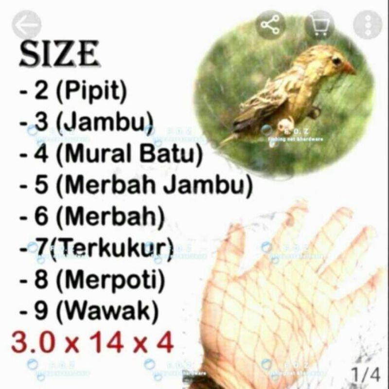 Kedai Burung Kedai Burung Dan Haiwan Peliharaan Zaidah