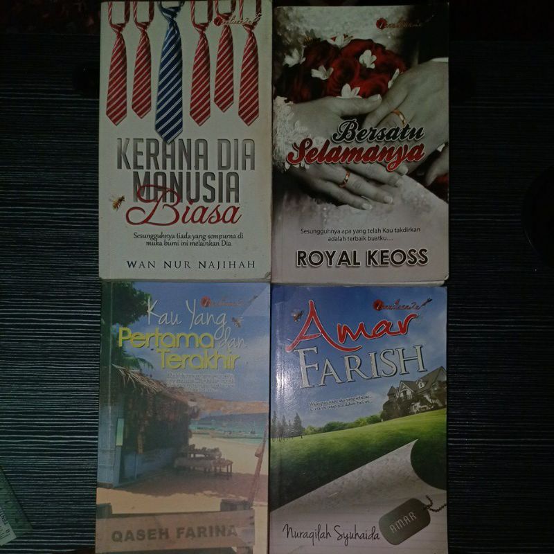 Novel kerana dia manusia biasa