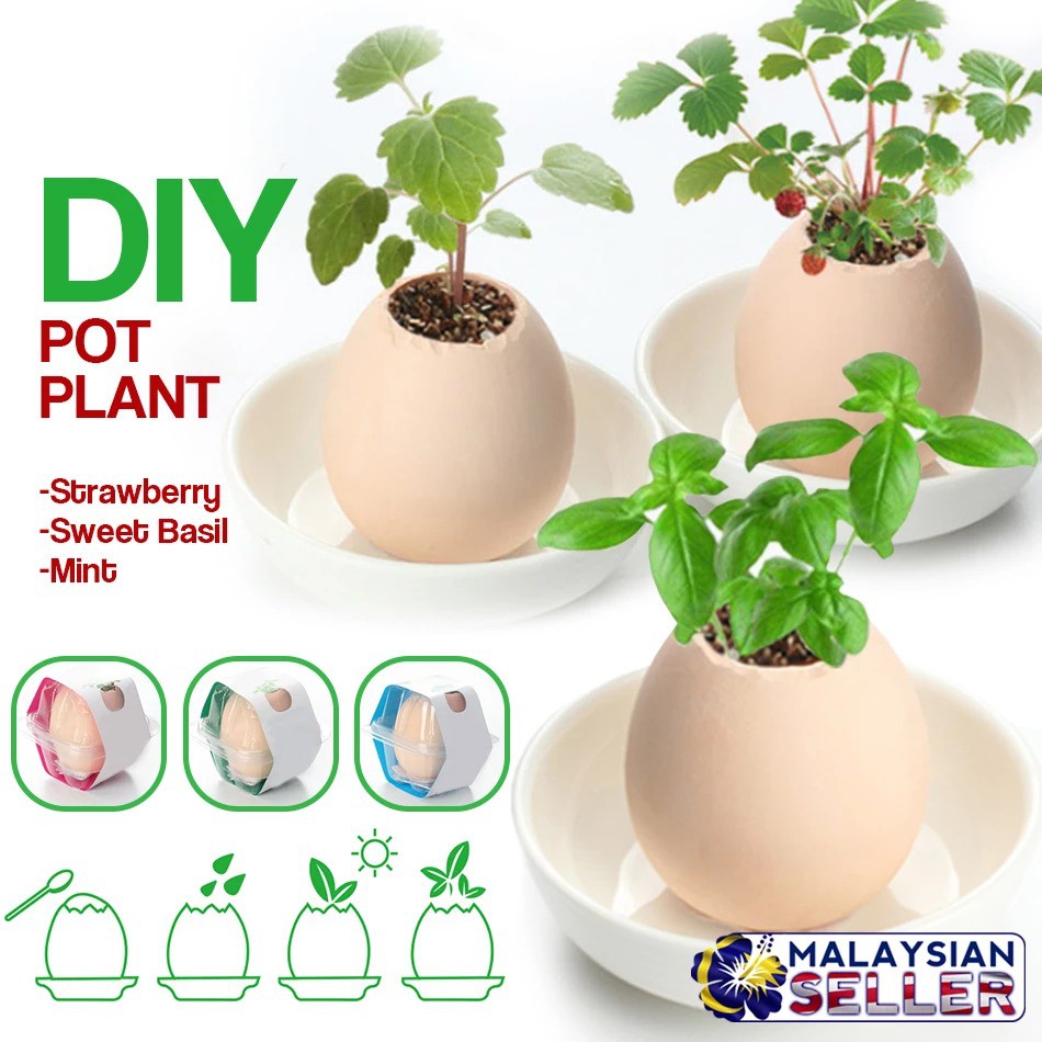 diy mini plants