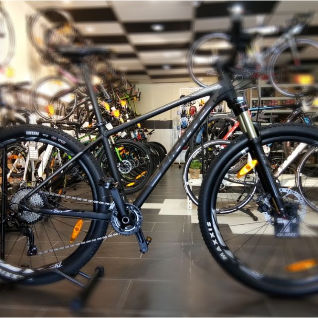 talon 1 29er 2020