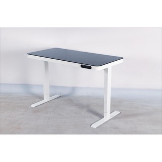 ENDESK PRO Ergonomic Sit Stand Desk/Motorized Height Adjustable Desk ...