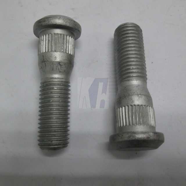 TOYOTA LAND CRUISER / HILUX / 4RUNNER / HIACE / DYNA / LEXUS / FORTUNER