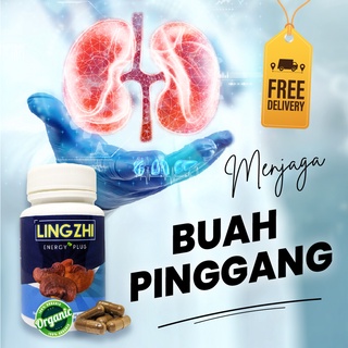 Ubat Buah Pinggang, Ubat Kencing Manis(Tak Lawas/Berbuih/Kotor