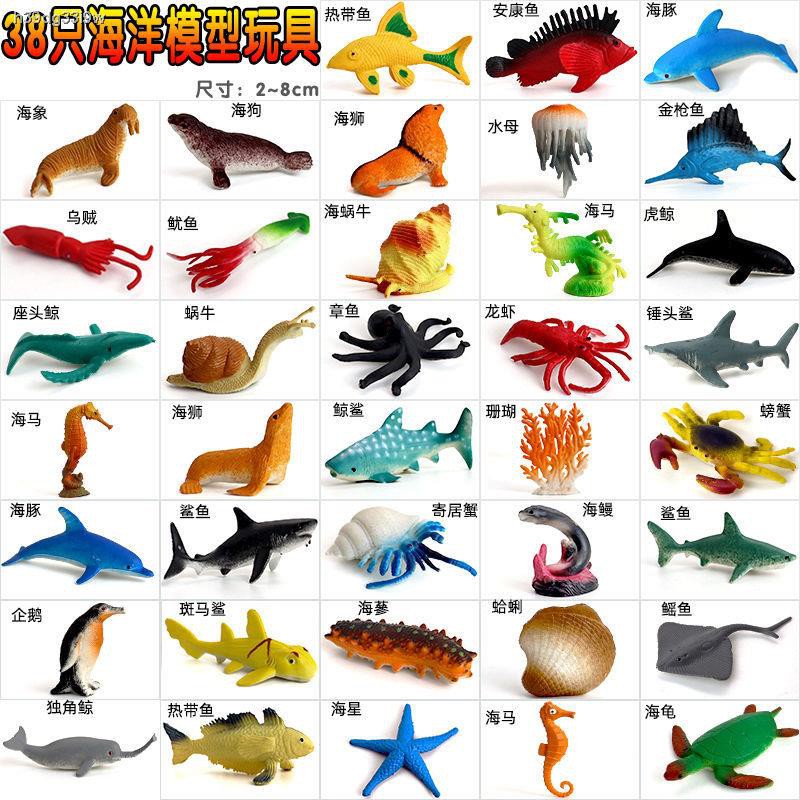 Marine Animal Modelmodel Haiwan Laut Simulasi Model Haiwan Laut Ubur Ubur Ikan Paus Ikan Hiu Penyu Set Mainan Kuda Laut Shopee Malaysia