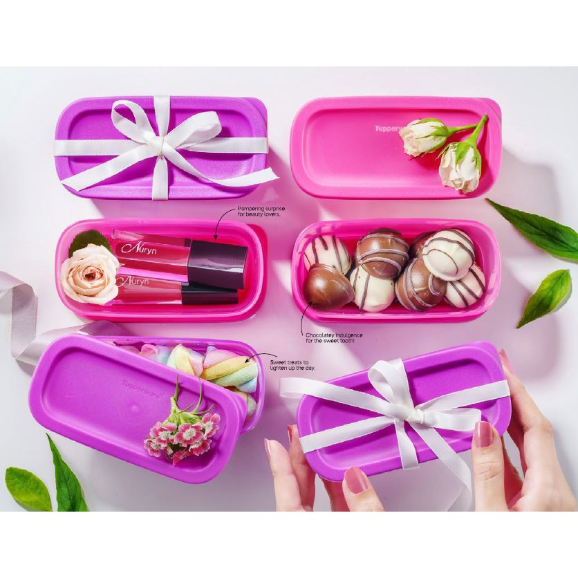 New Tupperware Sweet Trinkets Gift Set (4)